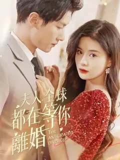 夫人,全球都在等你離婚