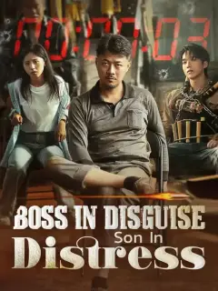 Boss In Disguise Son In Distress