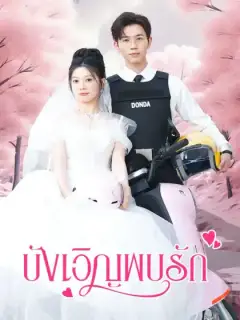 บังเอิญพบรัก