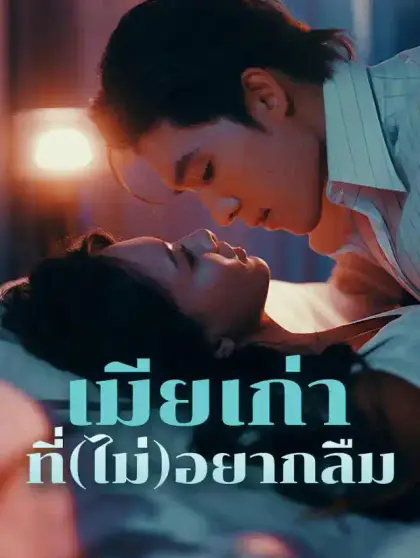 เมียเก่าที่(ไม่)อยากลืม