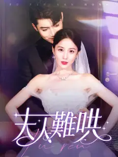 夫人難哄