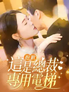 抱歉!這是總裁專用電梯
