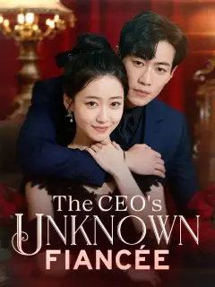 The CEO's Unknown Fiancée