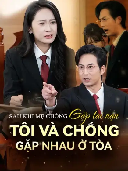 Sau khi mẹ chồng gặp tai nạn tôi và chồng gặp nhau ở tòa