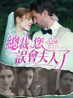 總裁，您誤會夫人了