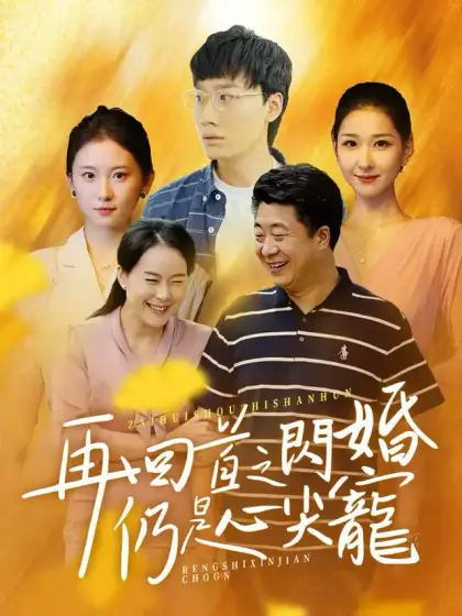 再回首閃婚之仍是心尖寵