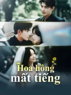 Hoa hồng mất tiếng
