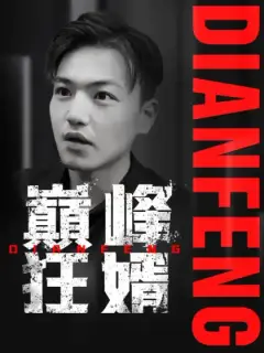巔峰狂婿