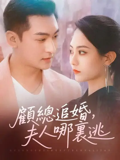 顧總追婚,夫人哪裏逃