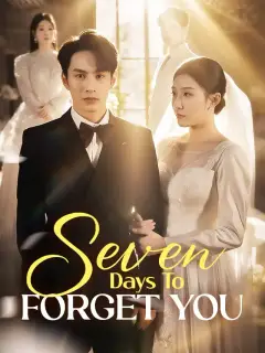 Seven Days To Forget You