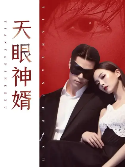 天眼神婿